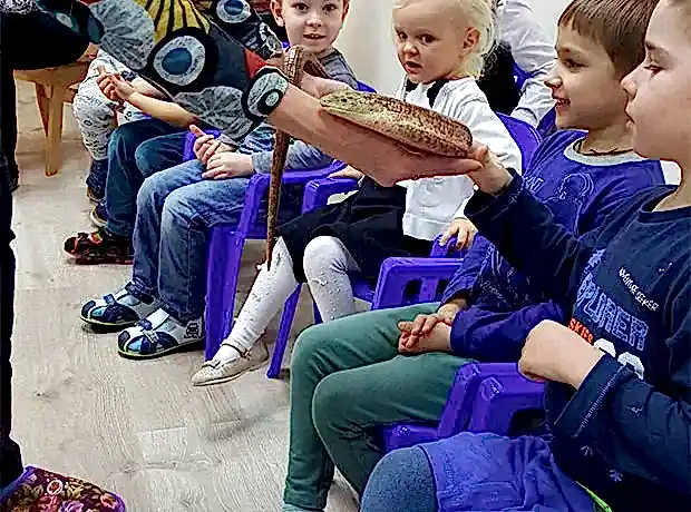 Лекция с демонстрацией животных